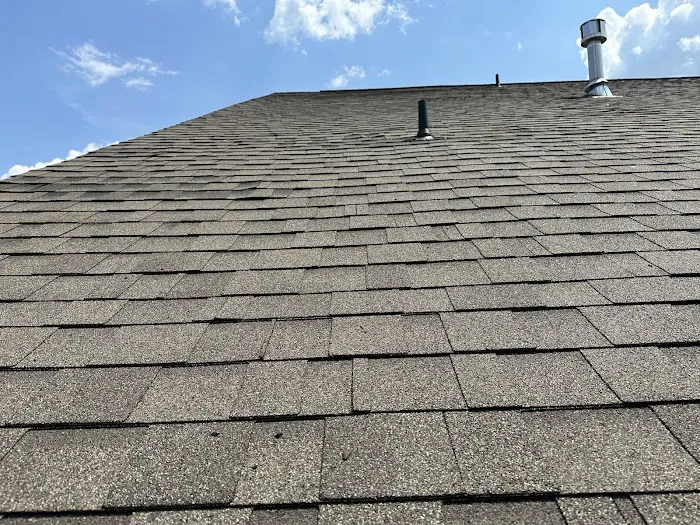 Roof Medic Picture 2