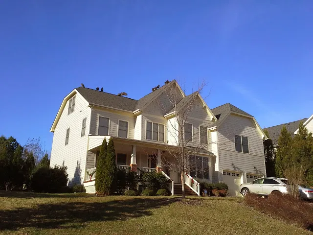 Dave's Roof Repair Picture 4