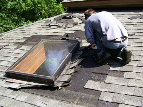 Dave's Roof Repair Picture 3