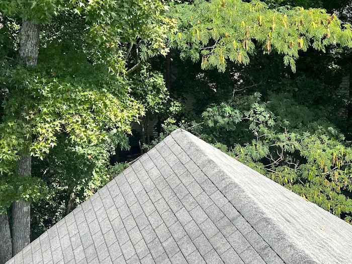 Ultra Roofing Picture 8