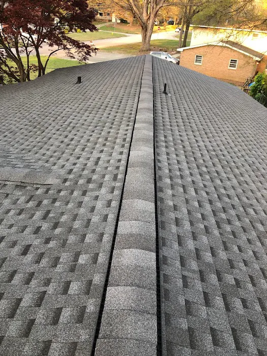 Quality Roofing Picture 1