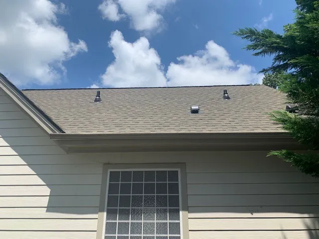 Raleigh Roof Rescue Picture 2