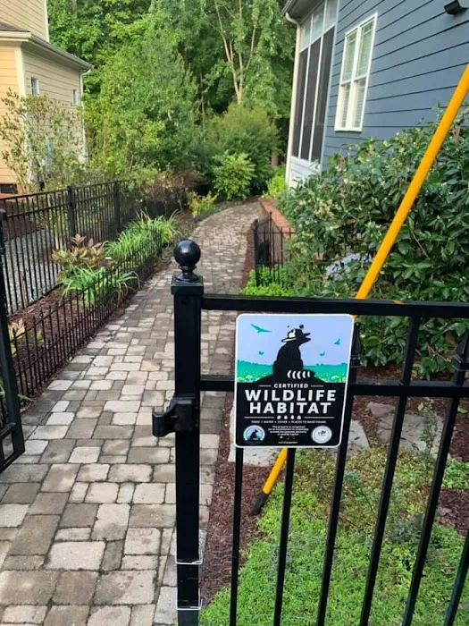 Raleigh Roof Rescue Picture 7