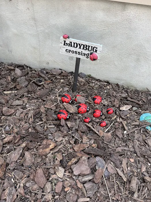 SmartRoof - Roofing and Solar Picture 2