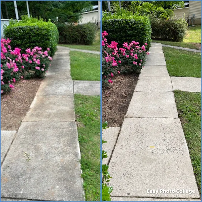 Roofs By Design Holly Springs Picture 10