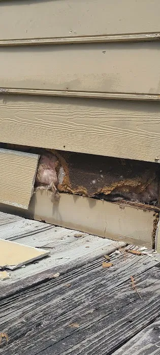 HomeChoice Picture 6