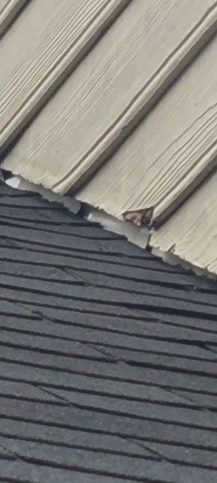 HomeChoice Picture 8