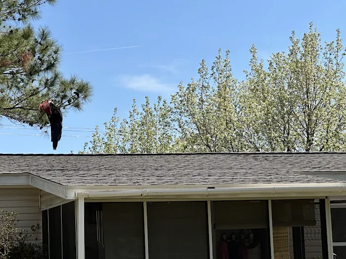 Southern National Roofing Picture 3