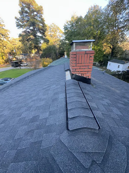 Roof Stepper Picture 4