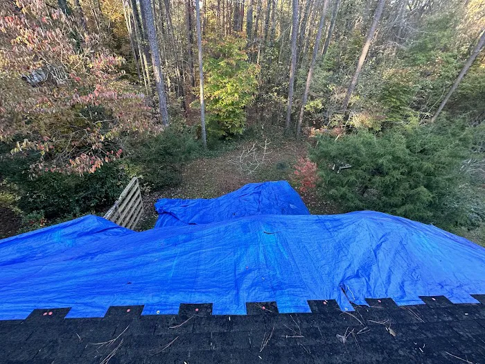 Roof Stepper Picture 2