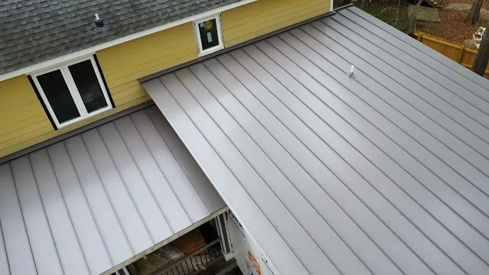 Roof Stepper Picture 5