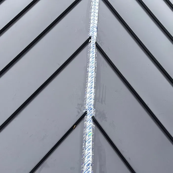 Roof Stepper Picture 10