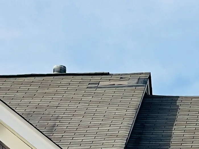 Nailed It Roof Repair Picture 1