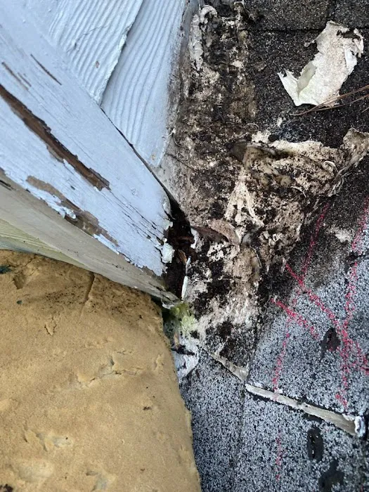 M&S Roofing LLC Picture 3