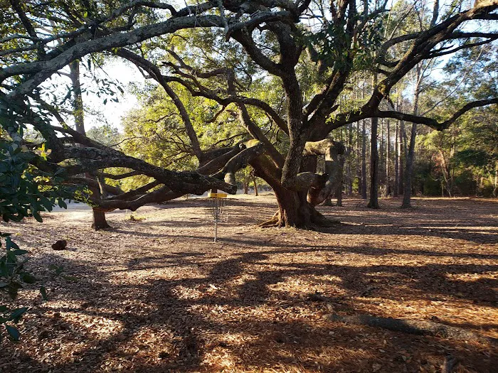 Sunrise Roofing LLC Picture 1