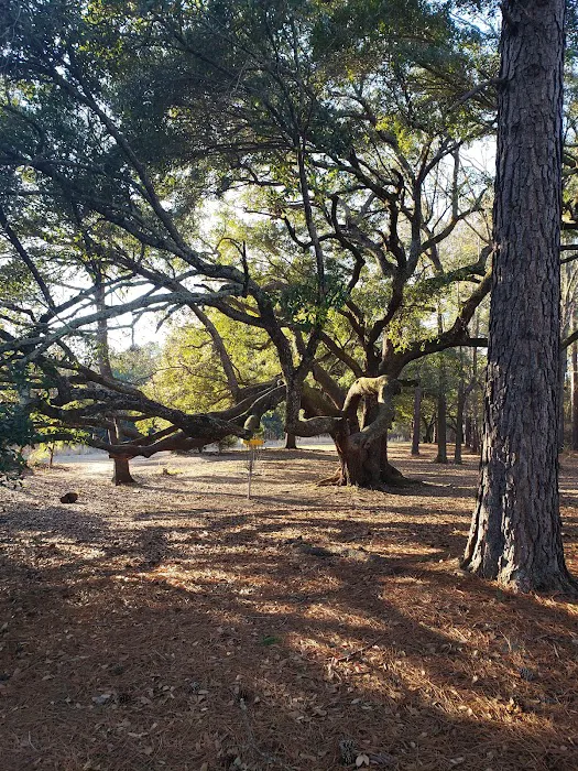 Sunrise Roofing LLC Picture 8