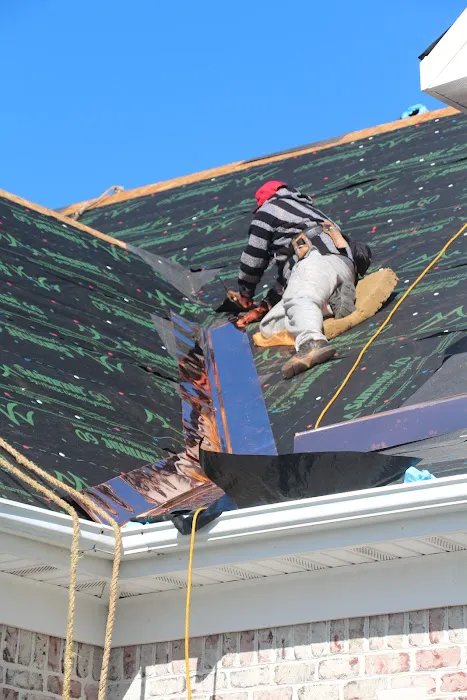 Roof Dawgs Picture 8