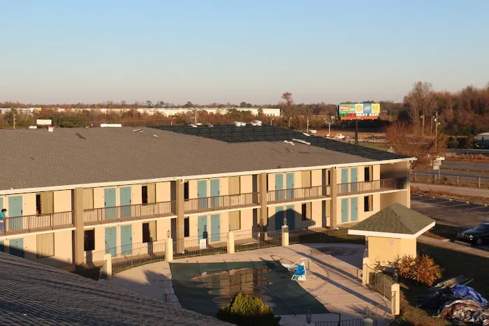 Roof Dawgs Picture 5