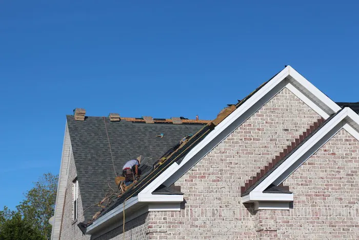 Roof Dawgs Picture 9