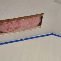 E Morales Painting ico