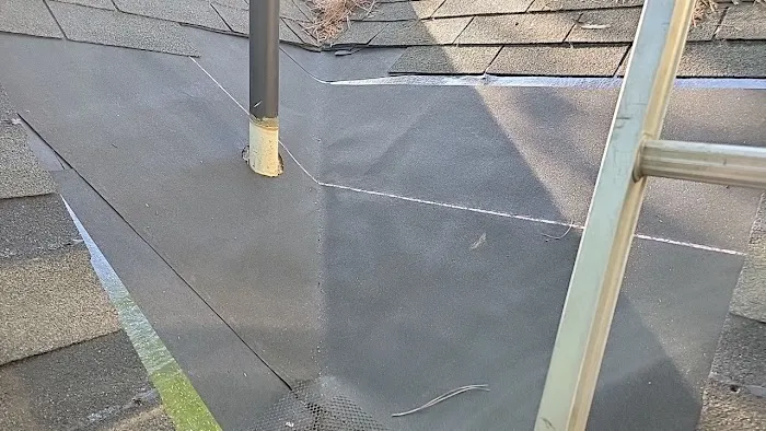 Wilson and Sons Roofing Picture 3