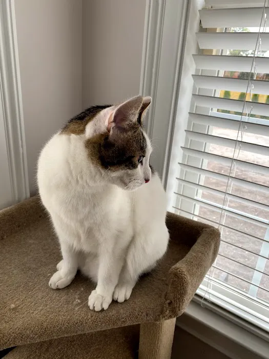 Excel Roofing Company Picture 5