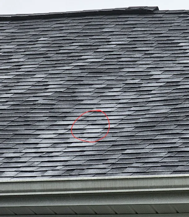 3D Roofing & Exteriors, Inc. Picture 1