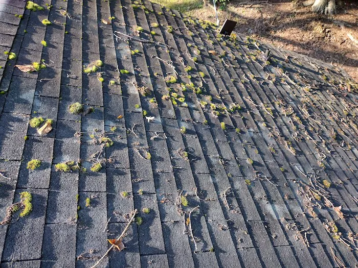 Barajas Construction LLC Picture 5