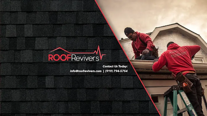 Roof Revivers Picture 4