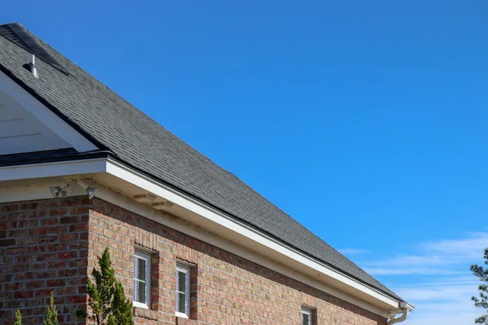 Ready Roofing Picture 3