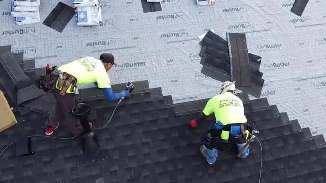 Raptor Roofing Picture 4