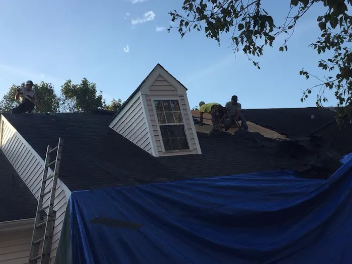 Lopez Strong Roofing Picture 8