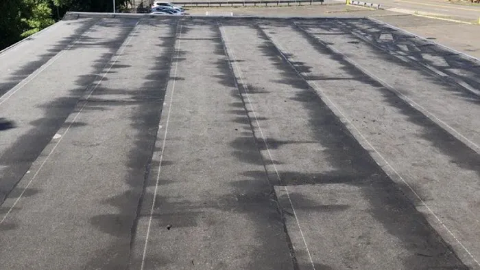 Lane's Contracting & Roofing, Inc. Picture 3