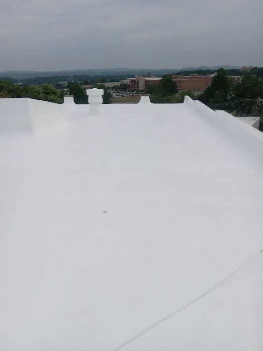 Roof Central Picture 4