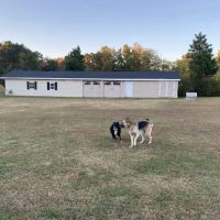 Carolina Hero Roofing ico