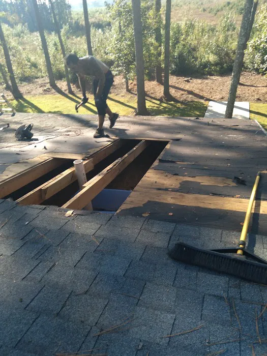 Expert Roofing Picture 6