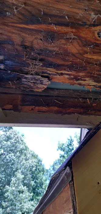 Brown Dale Roofing Picture 1