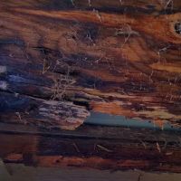 Brown Dale Roofing ico