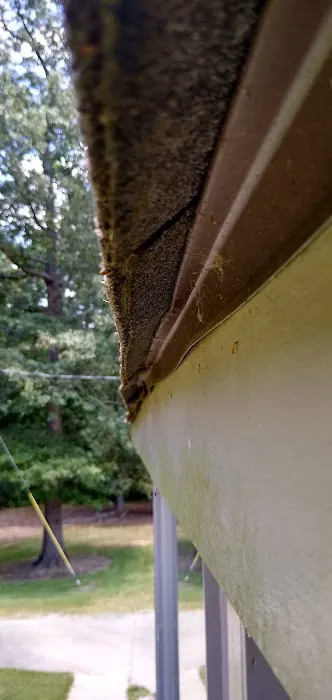 Brown Dale Roofing Picture 5