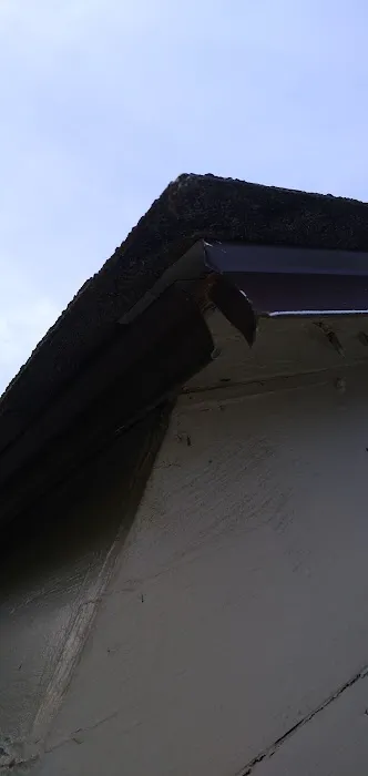 Brown Dale Roofing Picture 3