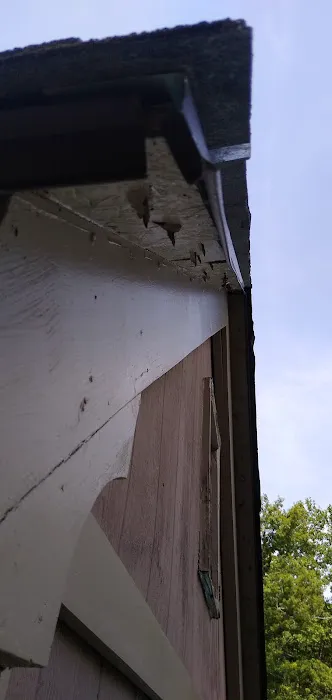 Brown Dale Roofing Picture 10