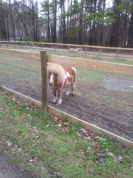 Wayne's Roofing Picture 1