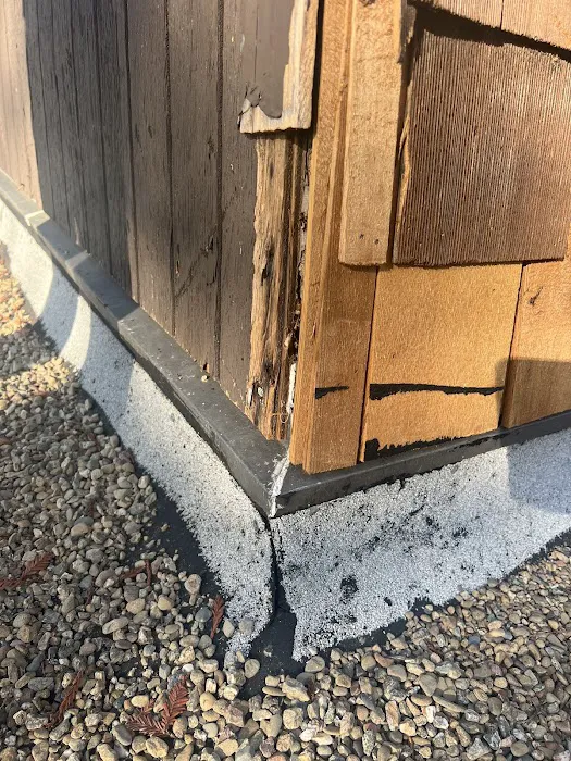 Elite Roofing & Waterproofing Picture 2