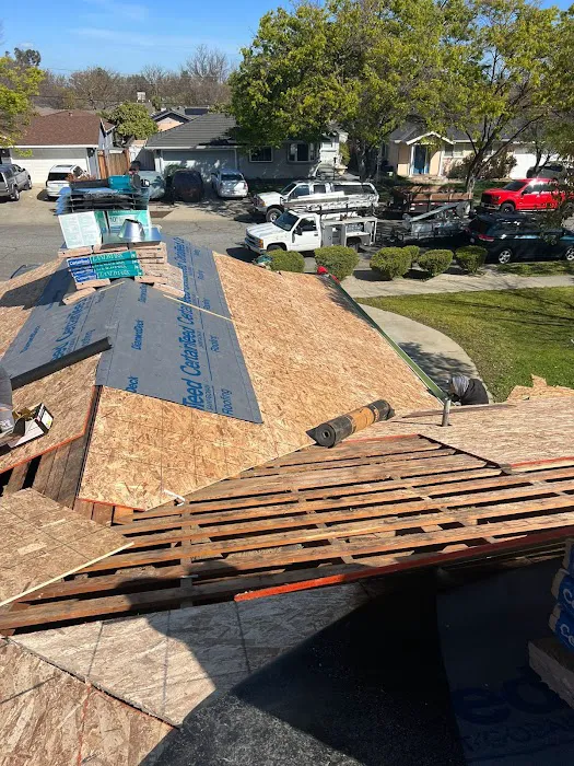 Any Roof Repair & Install Picture 4