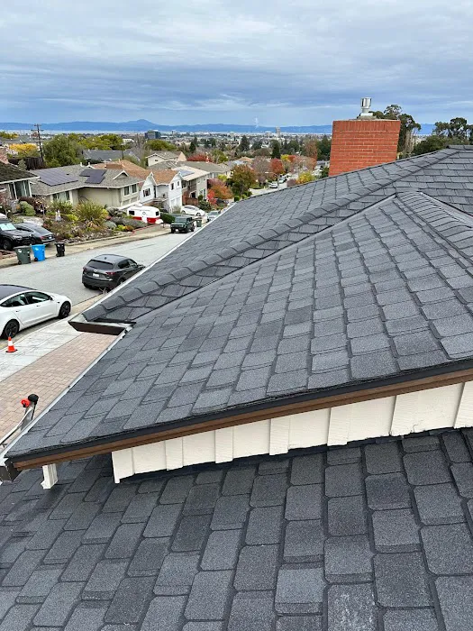 Any Roof Repair & Install Picture 3