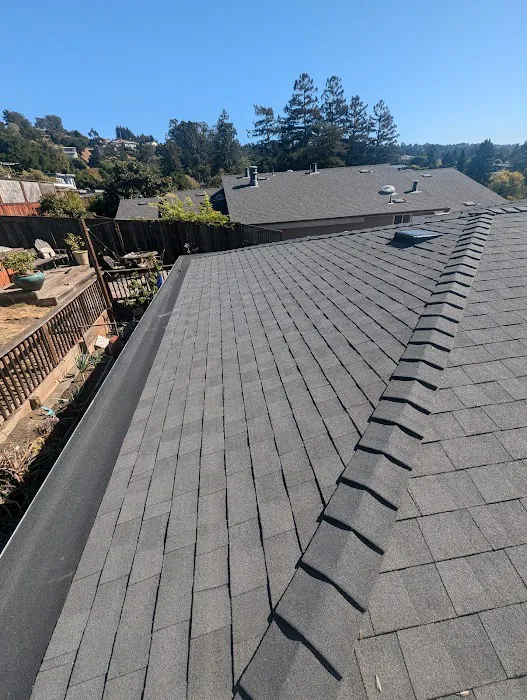 Leon Brothers Roofing Company Picture 7