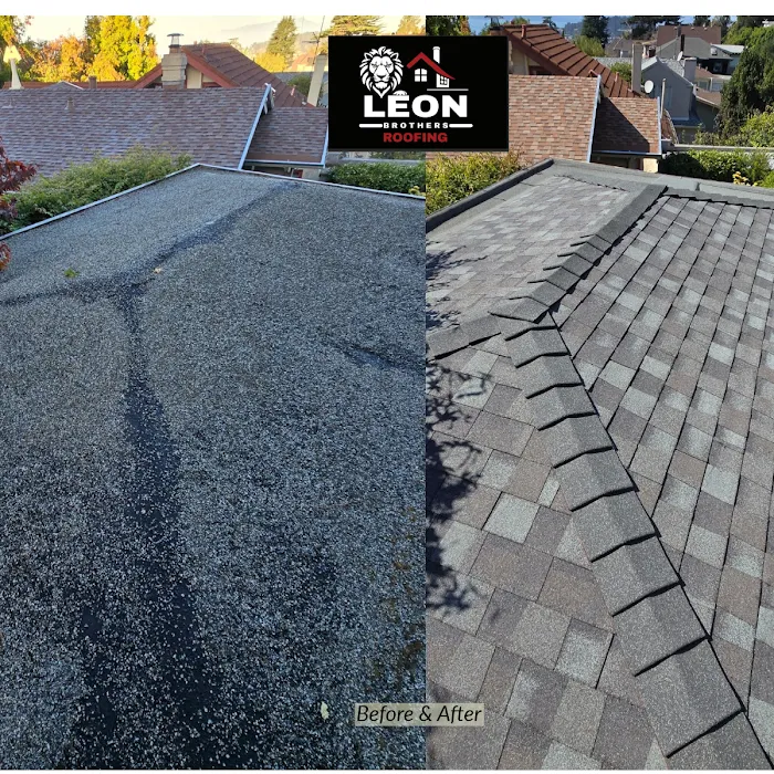 Leon Brothers Roofing Company Picture 9