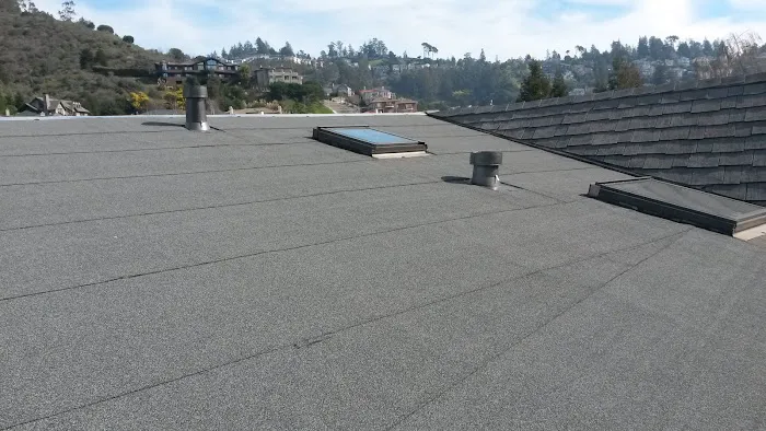 Sustainable Roofing Solutions Picture 4