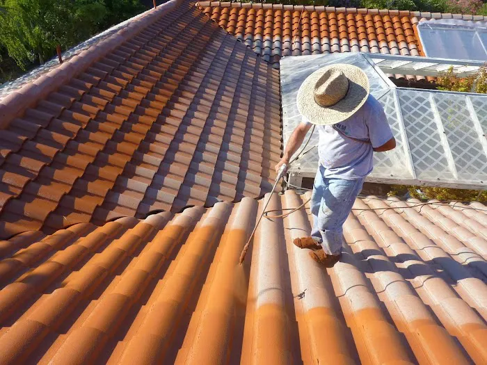 Sustainable Roofing Solutions Picture 7