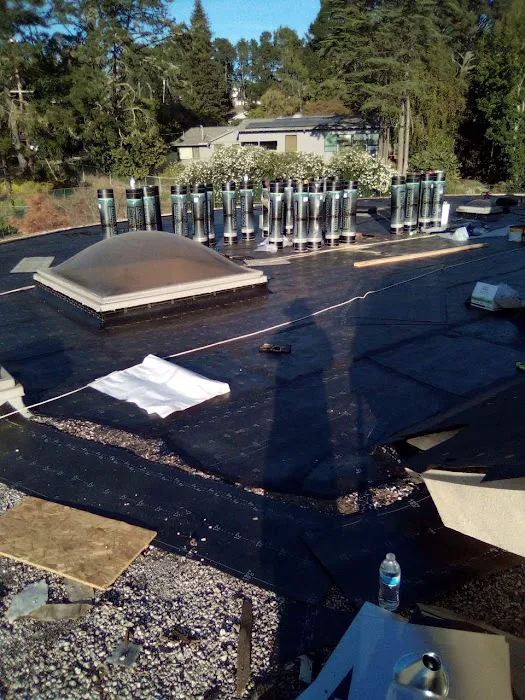 Roofing repeir installation techumbre Picture 7